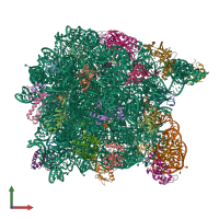 PDB entry 1yij coloured by chain, front view.