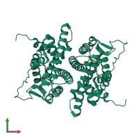 Homo dimeric assembly 1 of PDB entry 1yin coloured by chemically distinct molecules, front view.