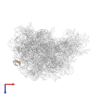 Large ribosomal subunit protein uL29 in PDB entry 1yit, assembly 1, top view.