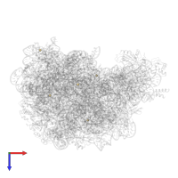 CADMIUM ION in PDB entry 1yj9, assembly 1, top view.
