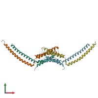 PDB entry 1yke coloured by chain, front view.