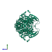 Ribulose bisphosphate carboxylase-like protein in PDB entry 1ykw, assembly 1, side view.