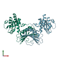 PDB entry 1yl5 coloured by chain, front view.