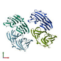 PDB entry 1yll coloured by chain, front view.