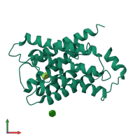 PDB entry 1ymg coloured by chain, front view.