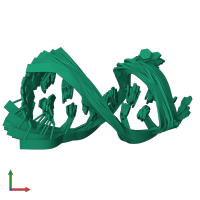 PDB entry 1yn1 coloured by chain, ensemble of 11 models, front view.
