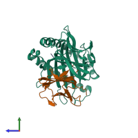 PDB entry 1yn6 coloured by chain, side view.