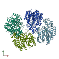 PDB entry 1yni coloured by chain, front view.