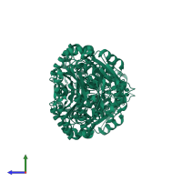 N-succinylarginine dihydrolase in PDB entry 1yni, assembly 1, side view.