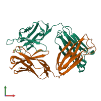 PDB entry 1ynl coloured by chain, front view.