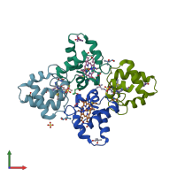 3D model of 1ynr from PDBe