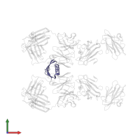 Gram-positive cocci surface proteins LPxTG domain-containing protein in PDB entry 1ynt, assembly 1, front view.