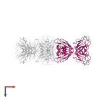Major surface antigen p30 in PDB entry 1ynt, assembly 1, top view.