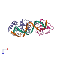 Hetero tetrameric assembly 1 of PDB entry 1ynw coloured by chemically distinct molecules, top view.