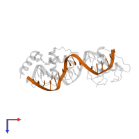 5'-d(*TP*TP*TP*GP*AP*CP*CP*TP*TP*CP*GP*TP*GP*AP*CP*CP*TP*A)-3' in PDB entry 1ynw, assembly 1, top view.