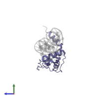 Vitamin D3 receptor in PDB entry 1ynw, assembly 1, side view.