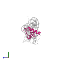 Retinoic acid receptor RXR-alpha in PDB entry 1ynw, assembly 1, side view.