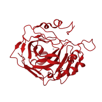 The deposited structure of PDB entry 1yo2 contains 1 copy of CATH domain 3.10.200.10 (Carbonic Anhydrase II) in Carbonic anhydrase 2. Showing 1 copy in chain A.