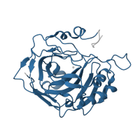 The deposited structure of PDB entry 1yo2 contains 1 copy of Pfam domain PF00194 (Eukaryotic-type carbonic anhydrase) in Carbonic anhydrase 2. Showing 1 copy in chain A.