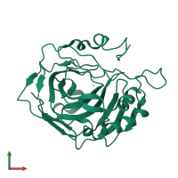 Carbonic anhydrase 2 in PDB entry 1yo2, assembly 1, front view.