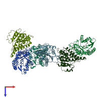 PDB entry 1yo6 coloured by chain, top view.