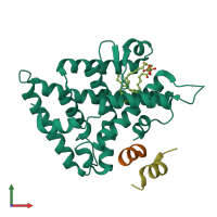 PDB entry 1yok coloured by chain, front view.