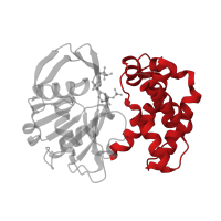 The deposited structure of PDB entry 1yon contains 1 copy of CATH domain 1.10.1040.10 (N-(1-d-carboxylethyl)-l-norvaline Dehydrogenase; domain 2) in 2-dehydropantoate 2-reductase. Showing 1 copy in chain A.