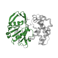 The deposited structure of PDB entry 1yon contains 1 copy of Pfam domain PF02558 (Ketopantoate reductase PanE/ApbA) in 2-dehydropantoate 2-reductase. Showing 1 copy in chain A.