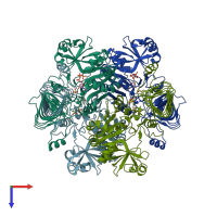 PDB entry 1yp3 coloured by chain, top view.