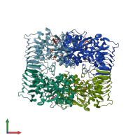 PDB entry 1yp4 coloured by chain, front view.