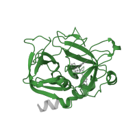 The deposited structure of PDB entry 1ypg contains 1 copy of Pfam domain PF00089 (Trypsin) in Thrombin heavy chain. Showing 1 copy in chain B [auth H].