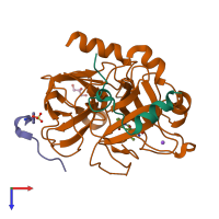 PDB entry 1ypl coloured by chain, top view.