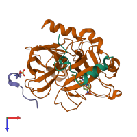 PDB entry 1ypm coloured by chain, top view.