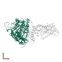 Succinate dehydrogenase [ubiquinone] flavoprotein subunit, mitochondrial in PDB entry 1yq3, assembly 1, front view.