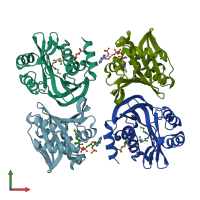 PDB entry 1yre coloured by chain, front view.