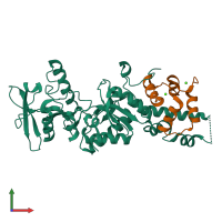 PDB entry 1yru coloured by chain, front view.