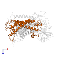 Reaction center protein M chain in PDB entry 1yst, assembly 1, top view.