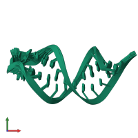 PDB entry 1ysv coloured by chain, ensemble of 13 models, front view.