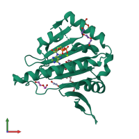 PDB entry 1yt0 coloured by chain, front view.
