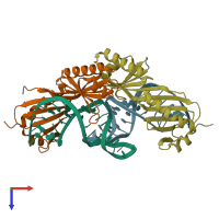 PDB entry 1ytb coloured by chain, top view.