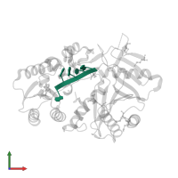 5'-R(P*AP*GP*AP*CP*AP*G)-3' in PDB entry 1ytu, assembly 1, front view.