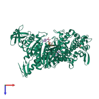 PDB entry 1yv3 coloured by chain, top view.