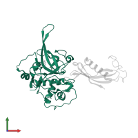 Cysteine proteinase falcipain 2a in PDB entry 1yvb, assembly 1, front view.