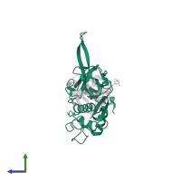 Cysteine proteinase falcipain 2a in PDB entry 1yvb, assembly 1, side view.