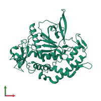 PDB entry 1yvg coloured by chain, front view.