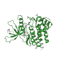 The deposited structure of PDB entry 1yvj contains 1 copy of Pfam domain PF07714 (Protein tyrosine and serine/threonine kinase) in Tyrosine-protein kinase JAK3. Showing 1 copy in chain A.