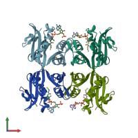 PDB entry 1yvk coloured by chain, front view.
