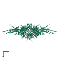 Hetero octameric assembly 3 of PDB entry 1yvl coloured by chemically distinct molecules, top view.