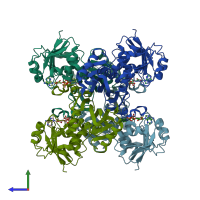 PDB entry 1ywg coloured by chain, side view.