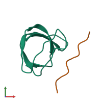 PDB entry 1ywo coloured by chain, front view.